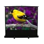 Elite Screens F72NWV ezCinema Floor Pull-Up Projection Screen (72-Inch 4:3 Aspect Ratio)