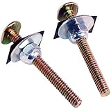 Danco 80156 1/4-by-2-1/4-Inch Toilet Bolt Set