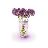 Produkt-Bild: Philips Lumiware beleuchtete Vase, LED wei&szlig; und color, 6915360PH