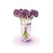 Philips Lumiware beleuchtete Vase, LED wei� und color, 6915360PH