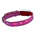 Kitchen & Housewares : LED dog/cat collar pink 23-27 cm