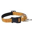 MEDIUM 16 IN - GOLD - Padded Nylon Dog Collar