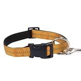 X-LARGE 26 IN - GOLD - Padded Nylon Dog Collar