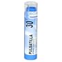 Boiron Homeopathic Medicine Pulsatilla, 30C Pellets, 80-Count Tubes (Pack of 5)