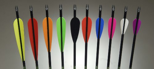 Childrens Toyshop  Sporting Goods : 100 - Pk. 2.6" AAE® Plastifletch Vanes