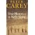 True History of the Kelly Gang