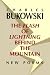 The Flash of Lightning Behind the Mountain: New Poems