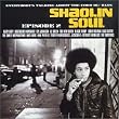 Shaolin Soul Vol.2