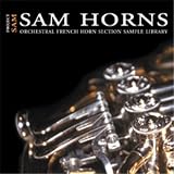 SAM Horns for Gigastudio