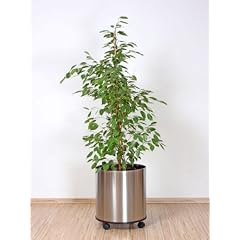 Blumen-�bertopf 40 � cm, Ma�e ca. 40 � x 40 cm H�he, aus Edelstahl