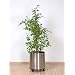 Blumen-�bertopf 40 � cm, Ma�e ca. 40 � x 40 cm H�he, aus Edelstahl