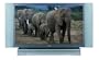 Toshiba 62HM84 62-Inch HDTV-Ready Projection DLP TV