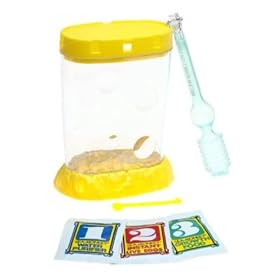 Sea Monkeys The Miracle of Instant Life by Educational Insights by Educational Insights