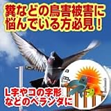 飛来防止・糞害防止　ベランダ用テグスコーナーバー
