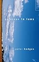 An OCEAN IN IOWA: A NOVEL