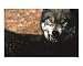 Back off Motivational Photographic Poster Print by Jay OBrien, 10x8