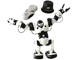 Eigenschaften Sablon Germany 18081 / Wow Wee 8081 - Robosapien