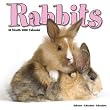 Rabbits 2010 Wall Calendar