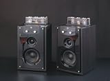 VAL M20 MK III Pure Vacuum Tube 2.0 Active Speaker System
