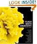 Flash Math Creativity, Second Edition