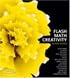 Flash Math Creativity, Second Edition