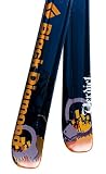Black Diamond Verdict Skis (2009)