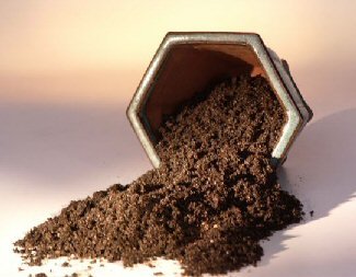 Bonsai Boy's Bonsai Conifer Soil Mix - 2 lbs.