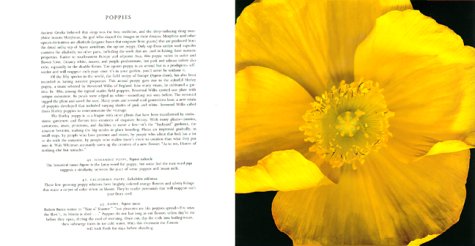One Hundred Flowers under Plants in The Books Store