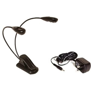 2 Headed Clip-on Light for your Kindle DX with 4 Pack AAA Batteries included and AC... by DBR
