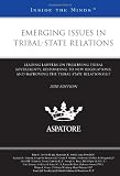Emerging Issues in Tribal-State Relations, 2010 ed.: Leading Lawyers on Preserving Tribal Sovereignty, Responding to New Regulations, and Improving the Tribal-State Relationship (Inside the Minds)