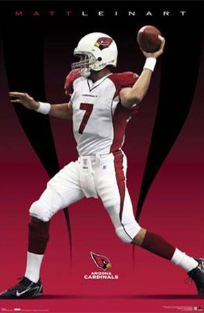 Arizona Cardinals - Matt Leinart Poster Print, 22x34