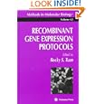 Recombinant Gene Expression Protocols (Methods in Molecular Biology) (Methods in Molecular Biology) by Rocky S. Tuan