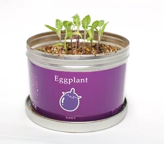 リトルガーデンプロ　加茂茄子　栽培セット　家庭菜園