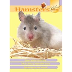 Hamsters (Practical Pet Care)