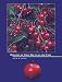 Diseases of the Tree Fruits in the East (Ncr Ser. No. 45)