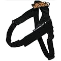 16IDC-M Julius K9� IDC Gurtband Geschirr Gr��e Mini Hundegeschirr Junghundgeschirr INNOVA DOG COMFORT - Brustumfang: 51-67cm K-9