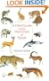 A Field Guide to the Mammals of Egypt