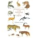 A Field Guide to the Mammals of Egypt