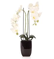 Artificial Tall Orchid in Square Black Vase