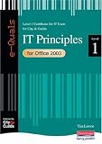 E-Quals Level 1 Office 2003 It Principles (E-Quals)