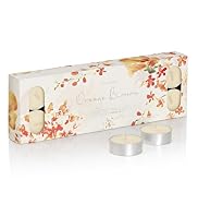24 Orange Blossom Scented Tealights