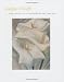 Georgia O'Keefe and the Calla Lily in American Art, 1860-1940