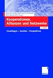 Kooperationen, Allianzen und Netzwerke: Grundlagen - Ansätze - Perspektiven