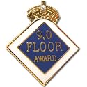 9.0 Floor Award Pin.