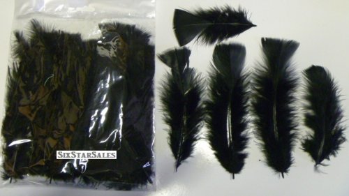 Ostrich Arrangement fillers--Jet Black image