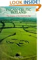 Pagan Celtic Ireland: The Enigma of the Irish Iron Age