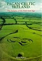 Pagan Celtic Ireland: The Enigma of the Irish Iron Age