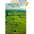 Pagan Celtic Ireland: The Enigma of the Irish Iron Age by Barry Raftery