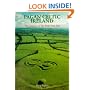 Pagan Celtic Ireland: The Enigma of the Irish Iron Age