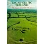 Pagan Celtic Ireland: The Enigma of the Irish Iron Age